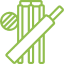 Cricket