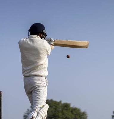 Cricket Player