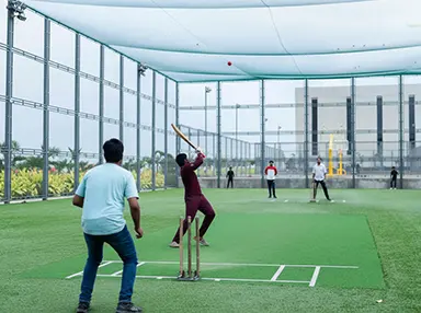Cricket Turf